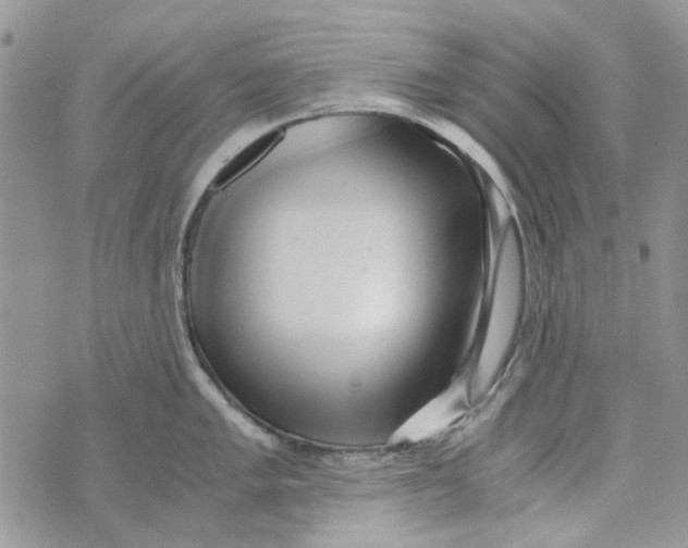 X0000071381005200607212208