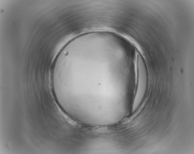 X0000071381006200607212208