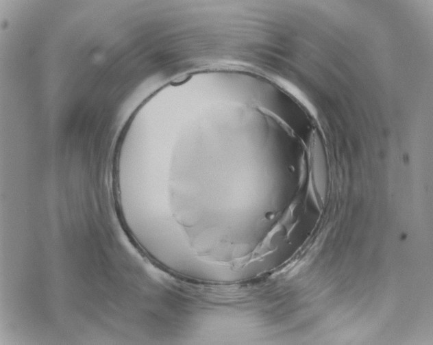 X0000071381007200607212208