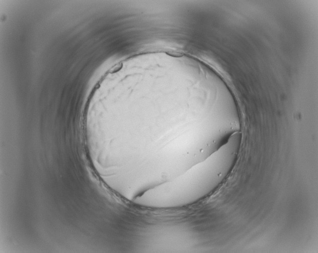 X0000071381008200607212208