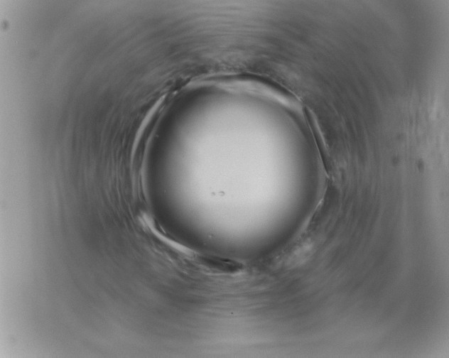 X0000071381010200607212207