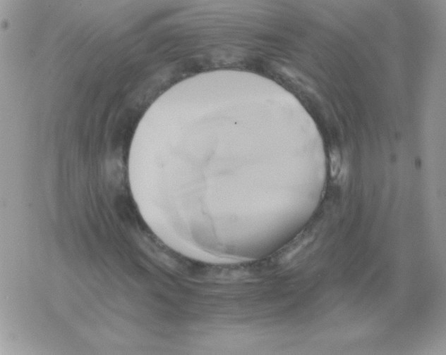 X0000071381011200607212207