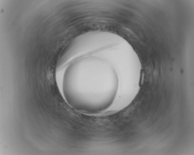 X0000071381013200607212207