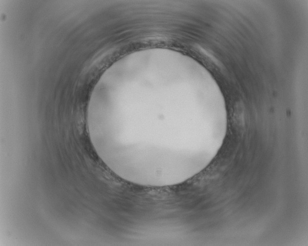 X0000071381015200607212207