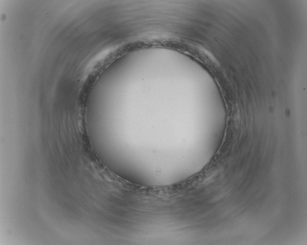 X0000071381016200607212207