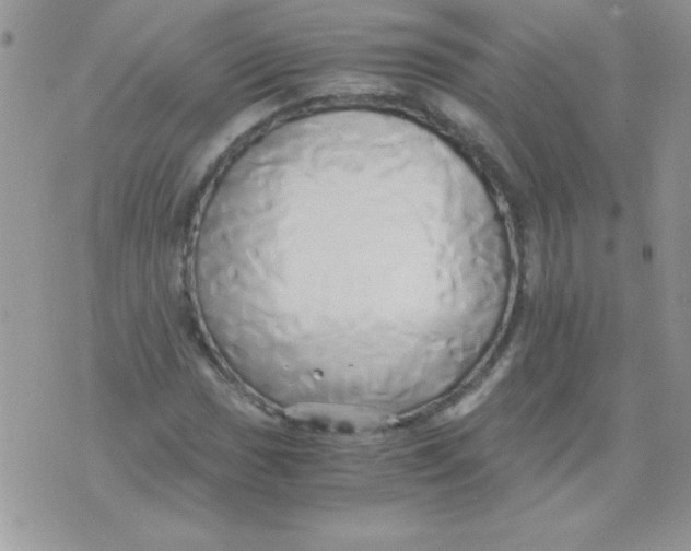 X0000071381017200607212207