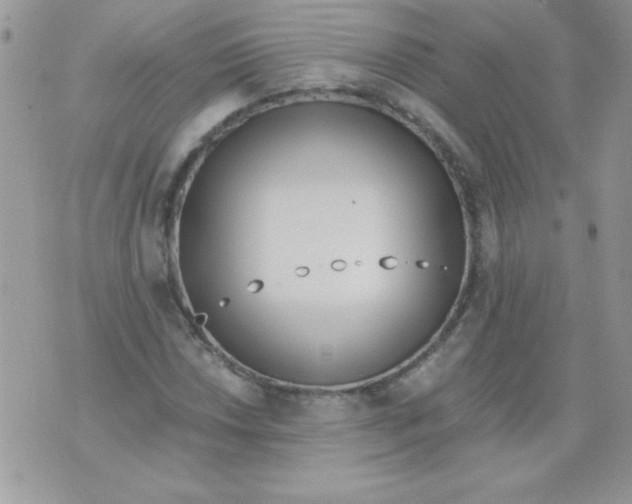 X0000071381018200607212207