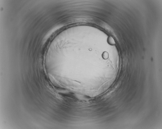 X0000071381019200607212207