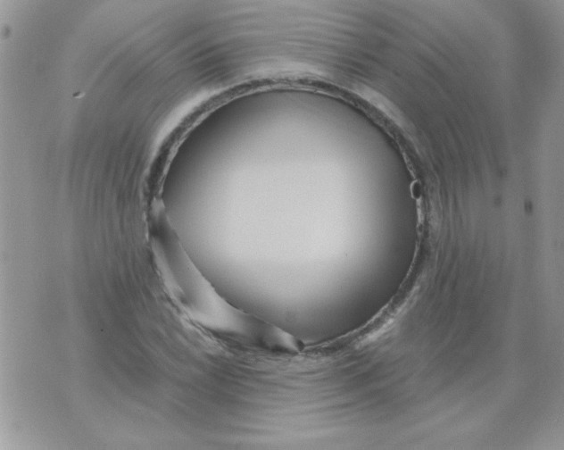 X0000071381022200607212207