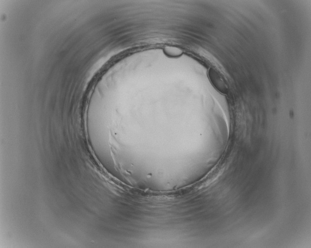 X0000071381023200607212207