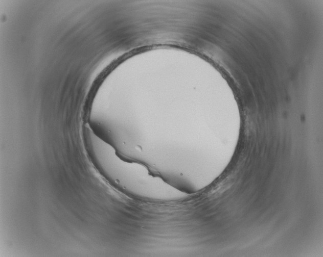 X0000071381024200607212207