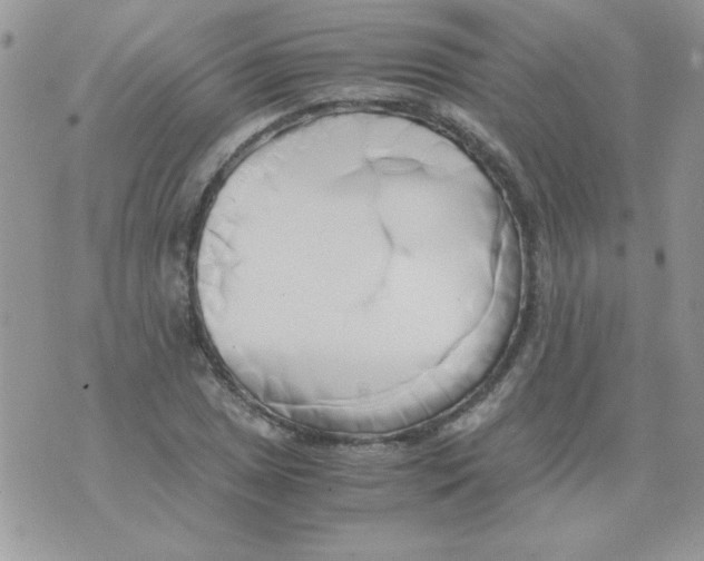 X0000071381025200607212207