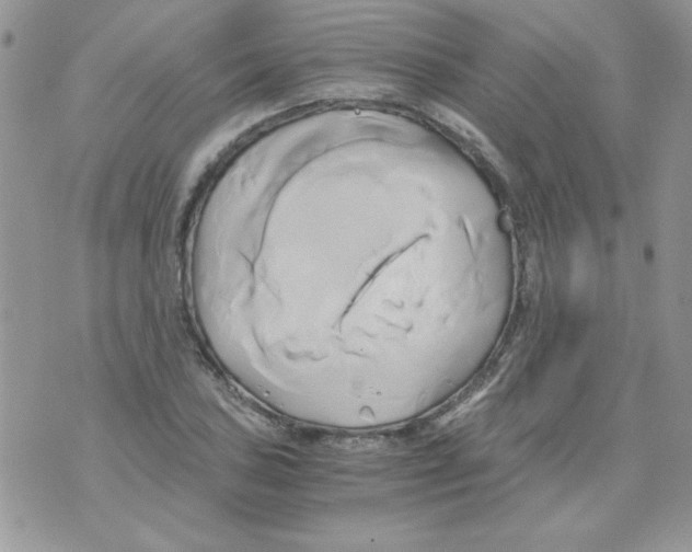 X0000071381027200607212207