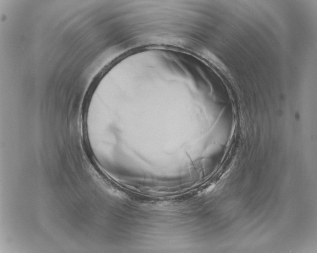 X0000071381028200607212207