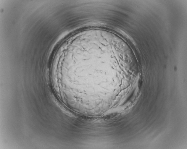 X0000071381029200607212207