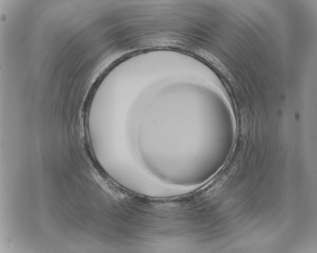 X0000071381031200607212207