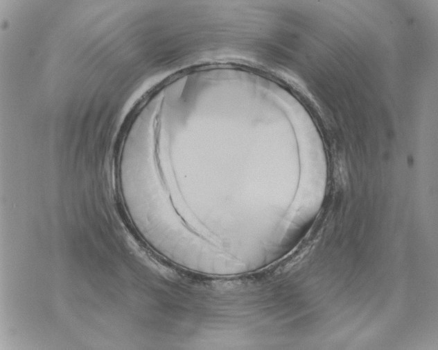 X0000071381032200607212207