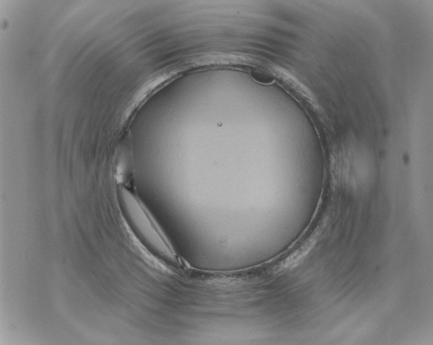 X0000071381033200607212207