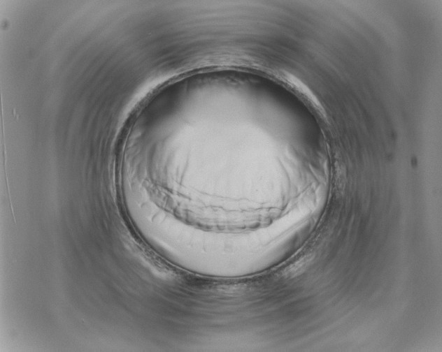 X0000071381035200607212207