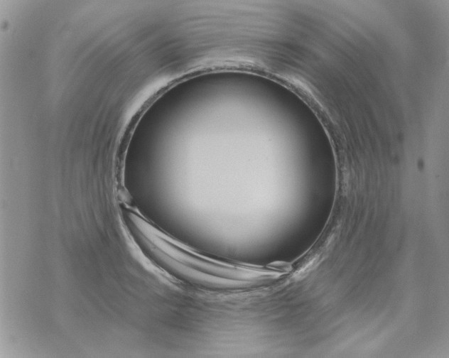 X0000071381038200607212207