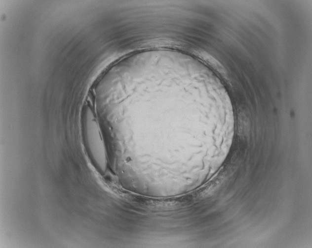 X0000071381039200607212207