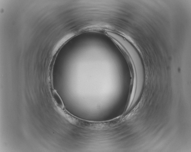 X0000071381042200607212207