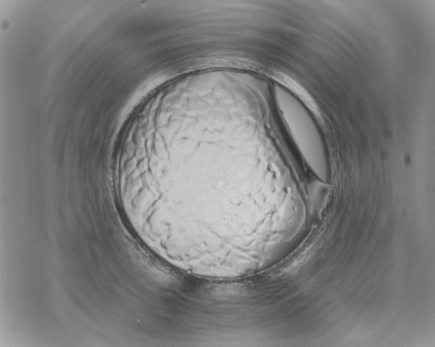 X0000071381043200607212207