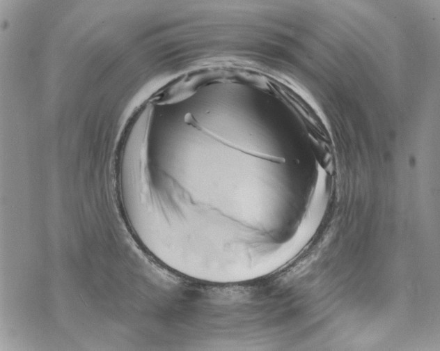 X0000071381045200607212207