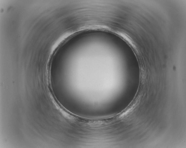 X0000071381046200607212207