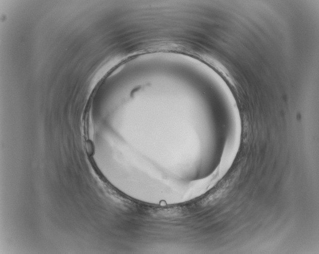 X0000071381047200607212207