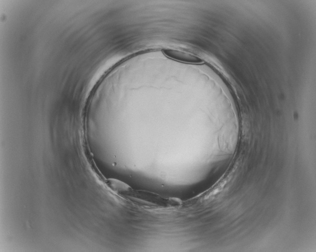 X0000071381048200607212207