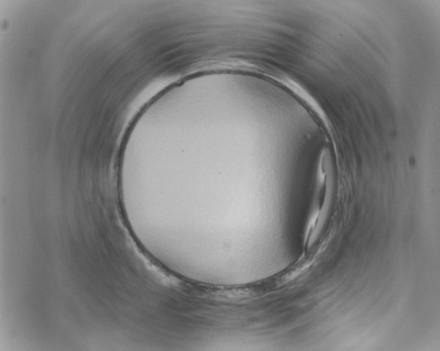 X0000071381053200607212208