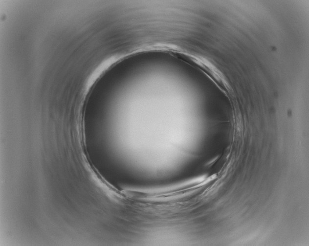 X0000071381054200607212208