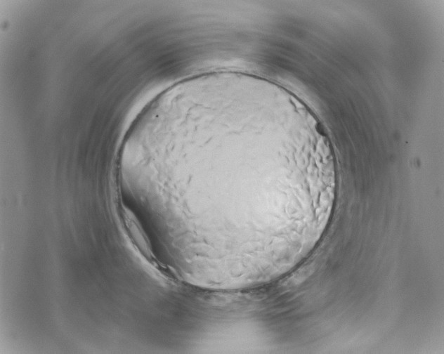 X0000071381056200607212208