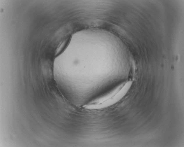 X0000071381058200607212207