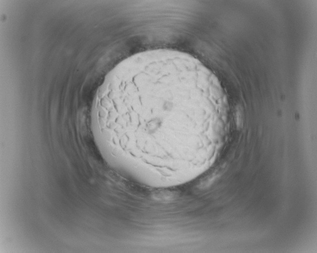 X0000071381059200607212207