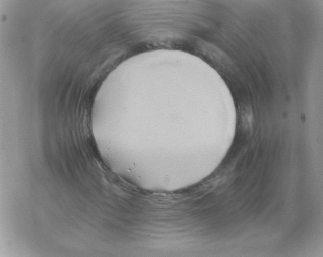 X0000071381060200607212207