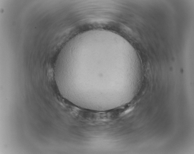 X0000071381061200607212207