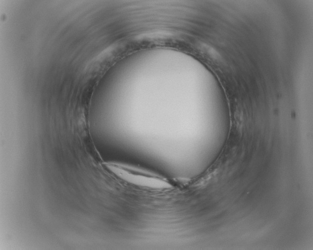 X0000071381062200607212207