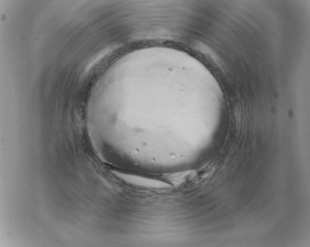 X0000071381064200607212207