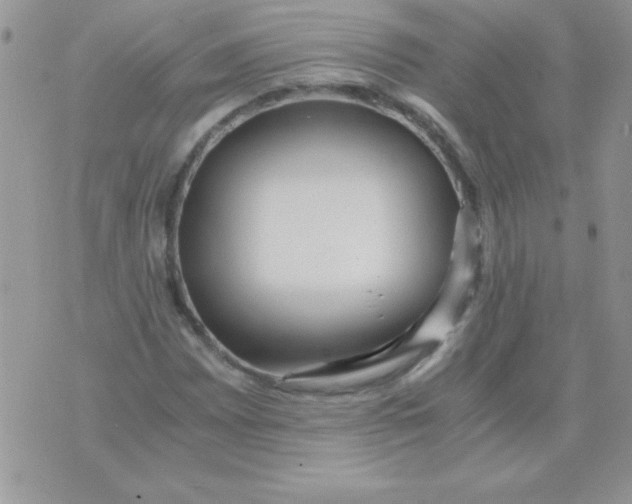 X0000071381065200607212207