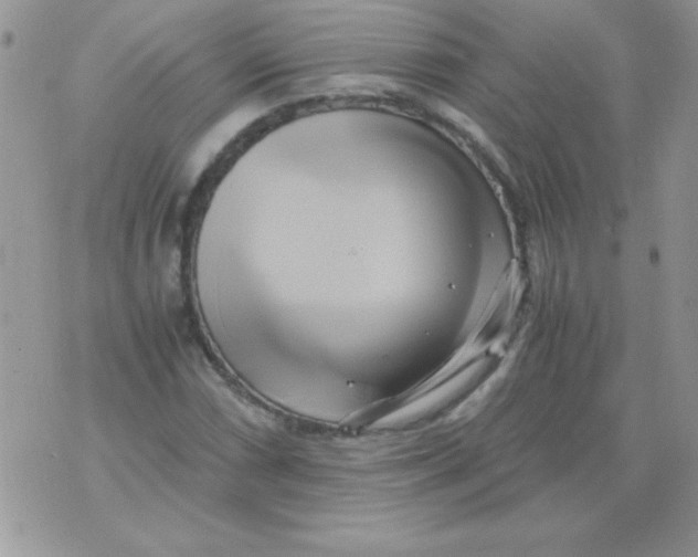 X0000071381066200607212207