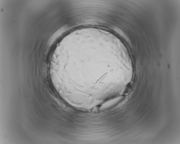 X0000071381067200607212207