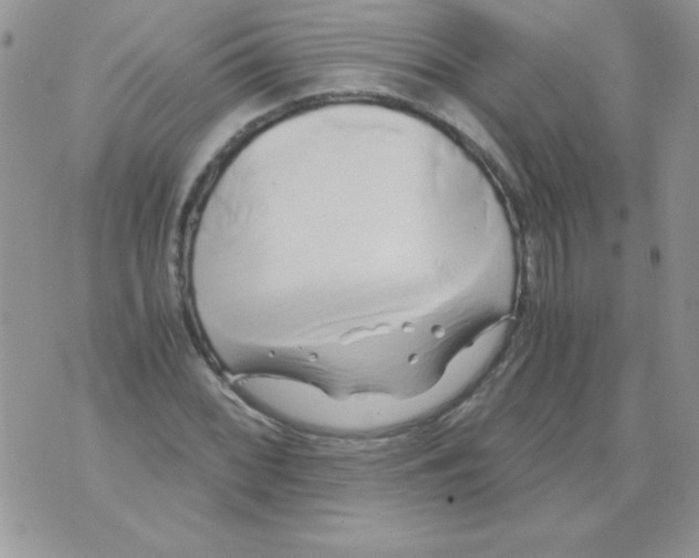 X0000071381068200607212207