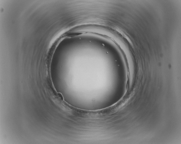 X0000071381069200607212207