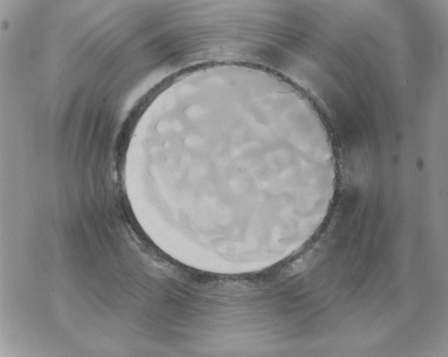 X0000071381070200607212207