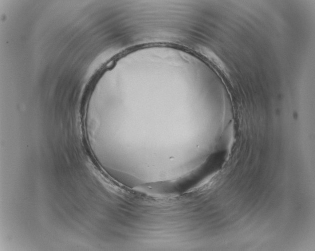 X0000071381072200607212207