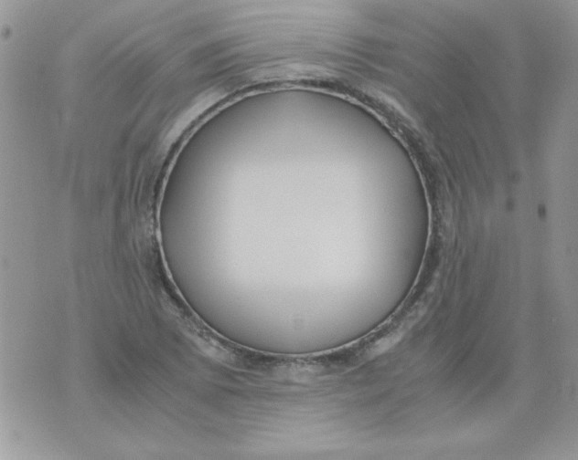 X0000071381073200607212207