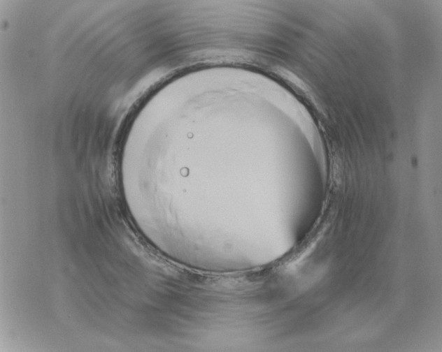 X0000071381074200607212207