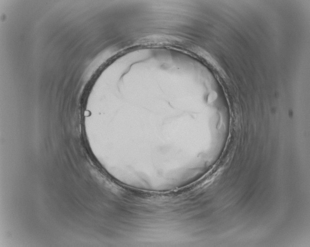 X0000071381075200607212207